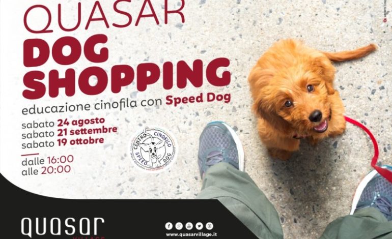 Quasar Dog Shopping: ecco come fare compere con il proprio cagnolino