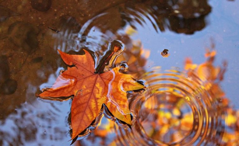 Arriva l’autunno, da mercoledì piogge e calo temperature