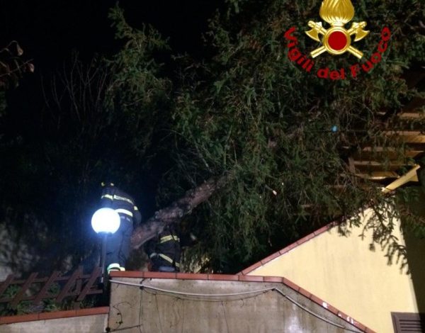 Albero cade su abitazione a Corciano photo Albero cade su abitazione a Corciano
