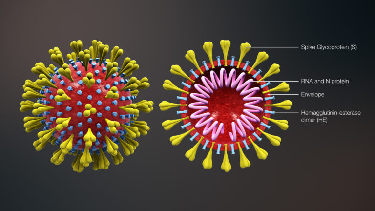 Il Coronavirus svuota i ristoranti cinesi in tutta Italia