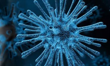 Coronavirus: in Umbria nessun nuovo caso e nessun decesso