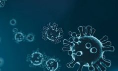 Primi casi di Coronavirus in Umbria