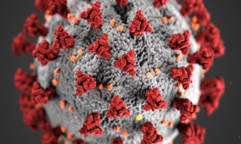 Coronavirus: in Umbria 710 positivi al virus, registrato leggero rallentamento