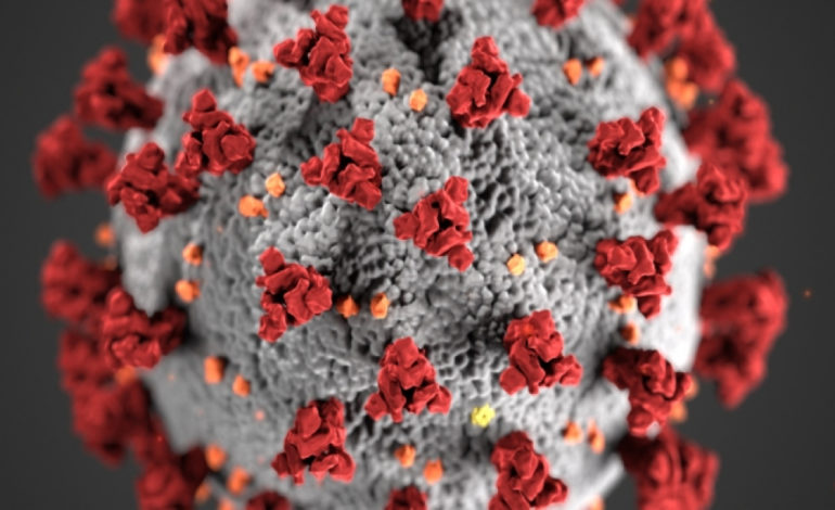 Coronavirus: in Umbria 710 positivi al virus, registrato leggero rallentamento