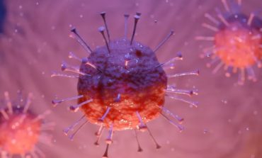 Covid: vaccinate 2.913 persone in Umbria, ecco come vanno i contagi