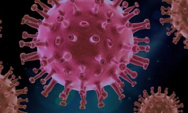 Coronavirus: in Umbria nessun nuovo contagio in 48 ore
