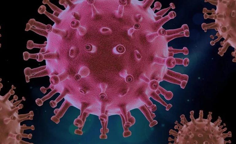 Coronavirus: sopra quota 800 i positivi in Umbria