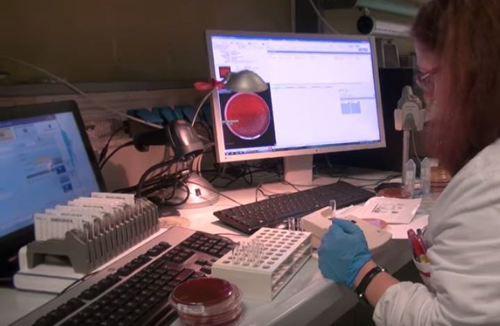 Coronavirus, gli ultimi dati della situazione in Umbria