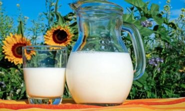 Il Mondo celebra il latte ma gli italiani ne consumano di meno