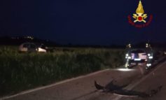 Scontro fra auto a Solomeo, un morto e un ferito grave