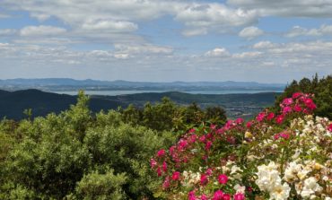 Giornata Mondiale dell'Ambiente: una riflessione sul declino della biodiversità
