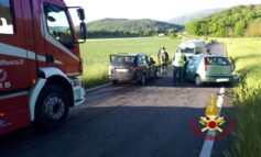 Bimba morta in incidente, CIA: "Inaccettabile che la causa sia un cinghiale"