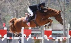 Equitazione, la pandemia non ha fermato l’attività agonistica della Scuderia Valmarino
