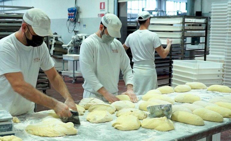 Molini Popolari Riuniti vince la scommessa sulla Pinsa Umbria e amplia la catena produttiva a Solomeo