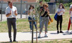 L’amministrazione pianta gli “alberi della memoria” e coinvolge le scuole sui temi della giustizia e della legalità