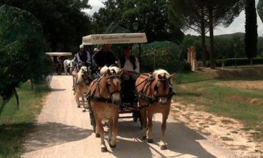 Successo per Paradriving Umbria, l’evento in carrozza per diversamente abili