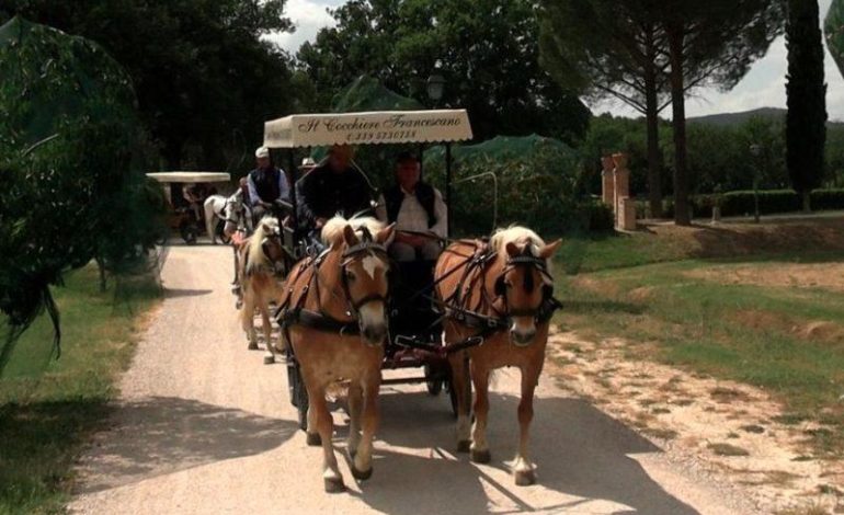 Successo per Paradriving Umbria, l’evento in carrozza per diversamente abili