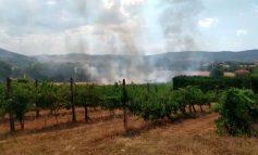 Incendio nei campi a Monticelli, lambite alcune abitazioni