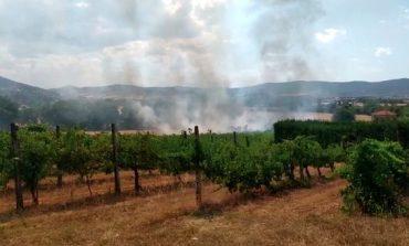 Incendio nei campi a Monticelli, lambite alcune abitazioni