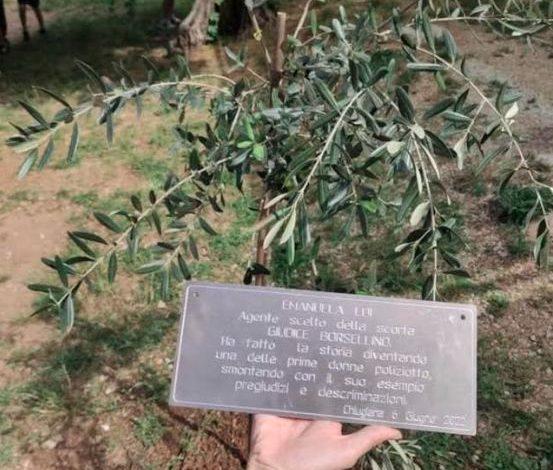 La comunità intorno agli “Ulivi della memoria”, quarto momento nel giorno della strage di via d’Amelio