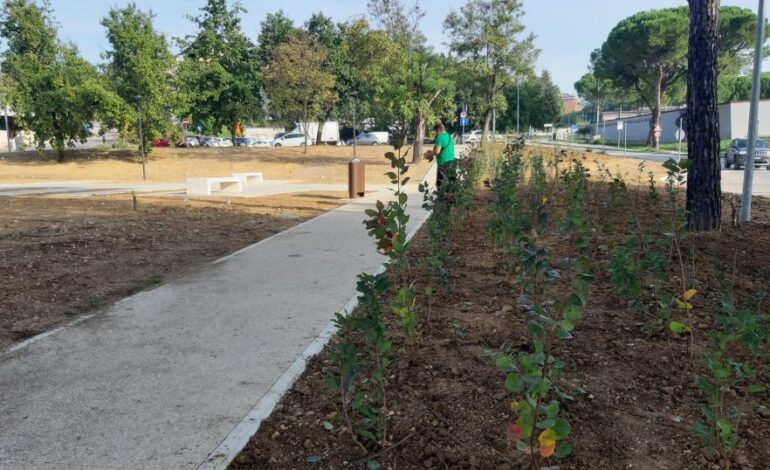 Piazza del Girasole: al via la campagna di acquisizione dei dati percettivi da parte del Cesar