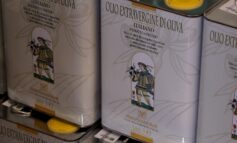 Olio nuovo, è eccellente la qualità di quest’anno all’Antico frantoio Mpr