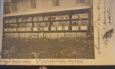 Dalle ombre della storia spunta l’Osservatorio di Solomeo, un’associazione di apicultura che superava i confini regionali e nazionali
