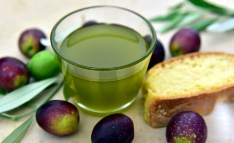 La produzione olivicola umbra mette a segno un +27%